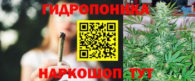 герыч Можга