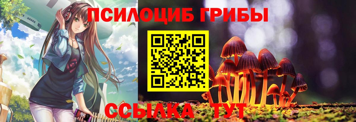 Галлюциногенные грибы Psilocybe Воркута